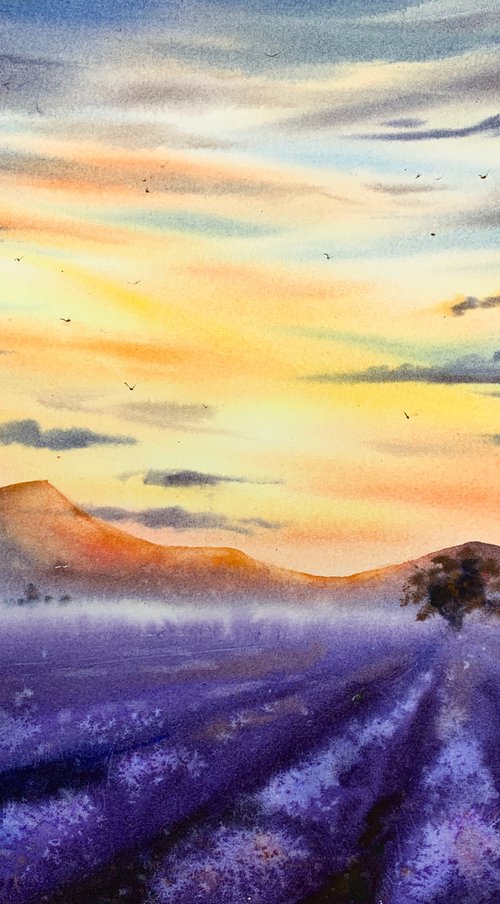 lavender field #2 by Eugenia Gorbacheva