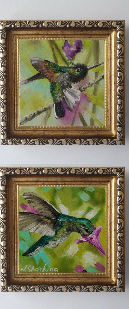 Hummingbird and Purple Flower, Set 2 by Natalia Shaykina