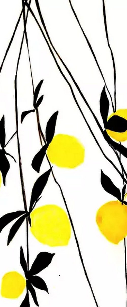 Lemons by Nadia Moniatis