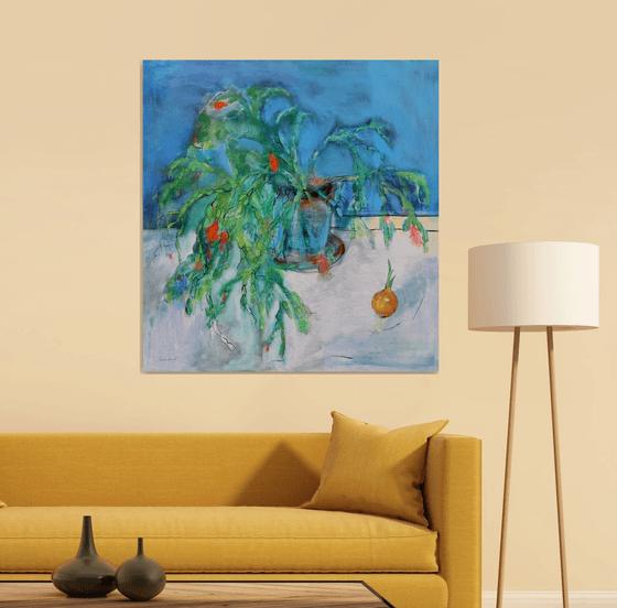 Schlumbergera. Christmas Cactus