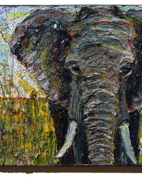 UNTITLED x1209 by David Padworny