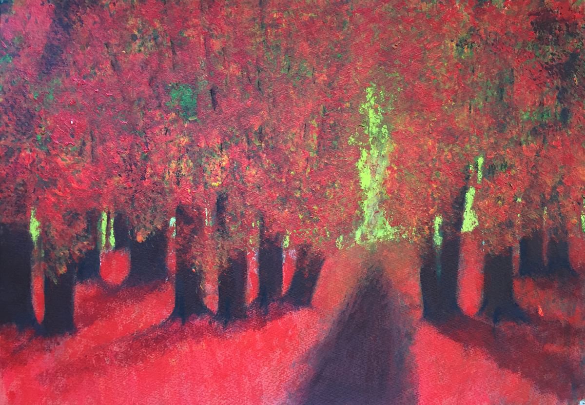 Red Woods by Phil Randles