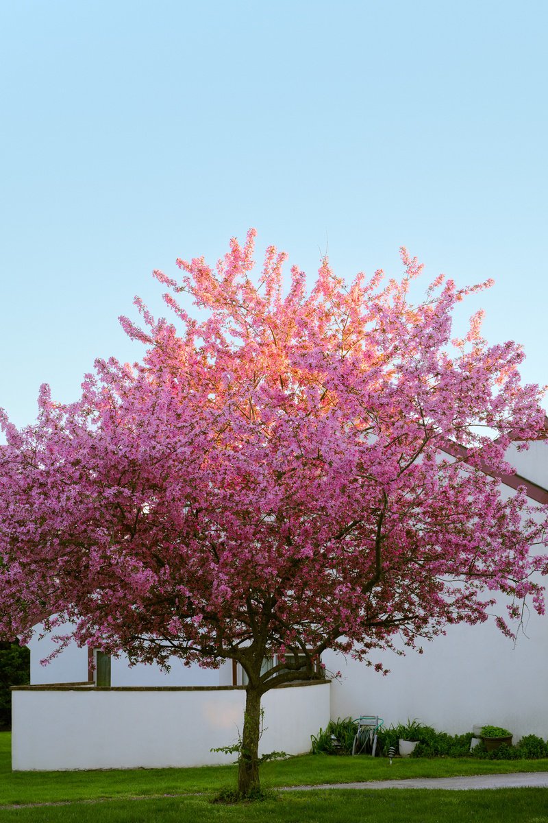 Impressionistic Cityscapes Photograph By Journey Gong, 17 X 25", In The Morning Light, Original Artwork
