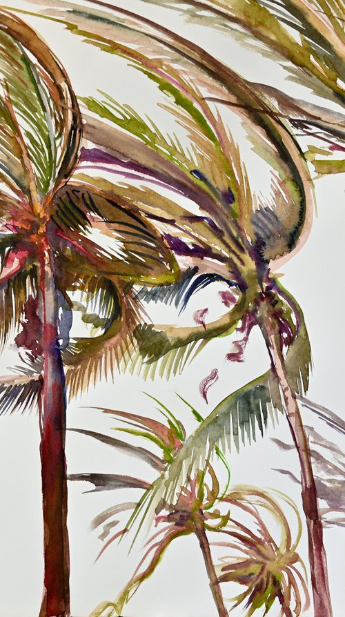 Wind. Coconut Palm Trees by Suren Nersisyan