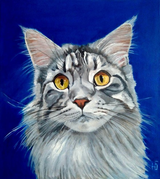 Grey Cat, Cat Oil Painting Maine Coon Original Art Pet Artwork 45x50 cm, ready to hang.