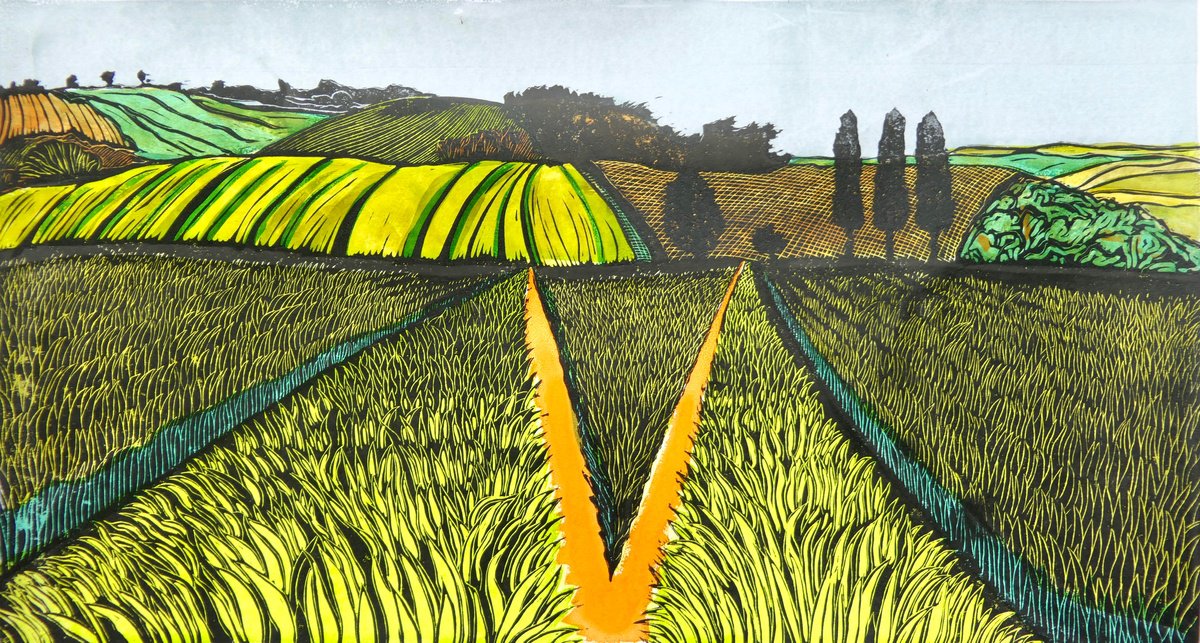 Barley above Gilling West by Keith Alexander
