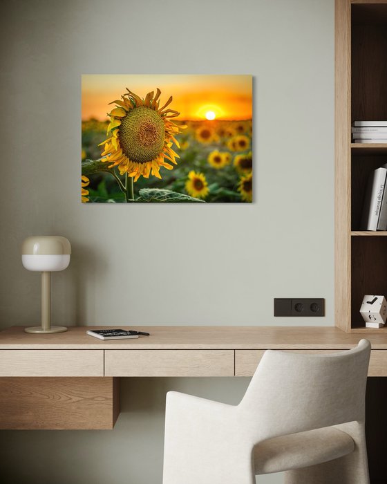 Golden Silence III – Last Light