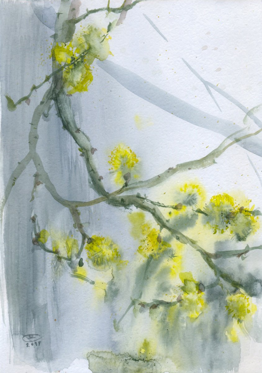 Impressionistic Drawing , Willow Blooming, #2 By Tatyana Tokareva, 8 X 12, Artwork For Sale On Artfinder