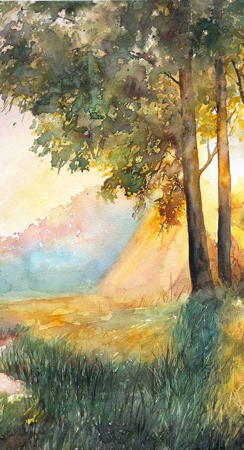 Golden Sunset by the Stream by Tetiana Koda