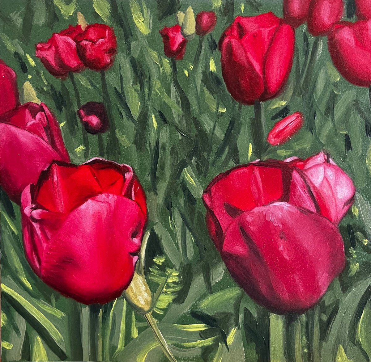 Hyperrealistic Red Tulips On Gesso Board By Angelo Di Carlo, 8 X 8, Artwork For Sale On Artfinder