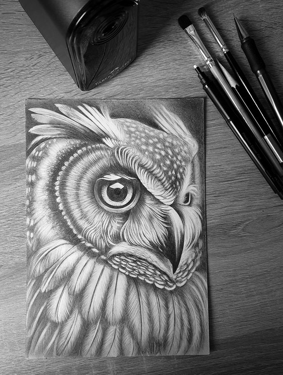 Owl