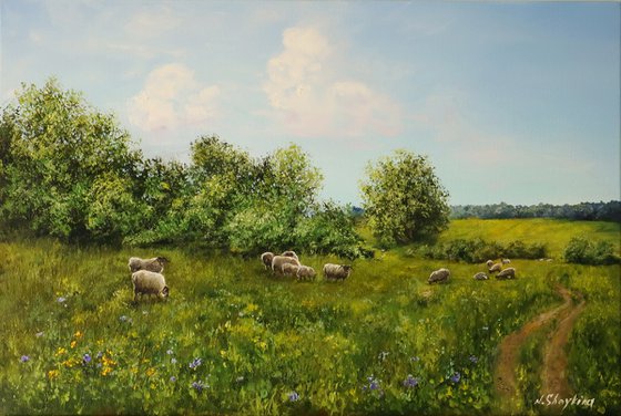 Sheep Meadow, Sunny Countryside Farm Field