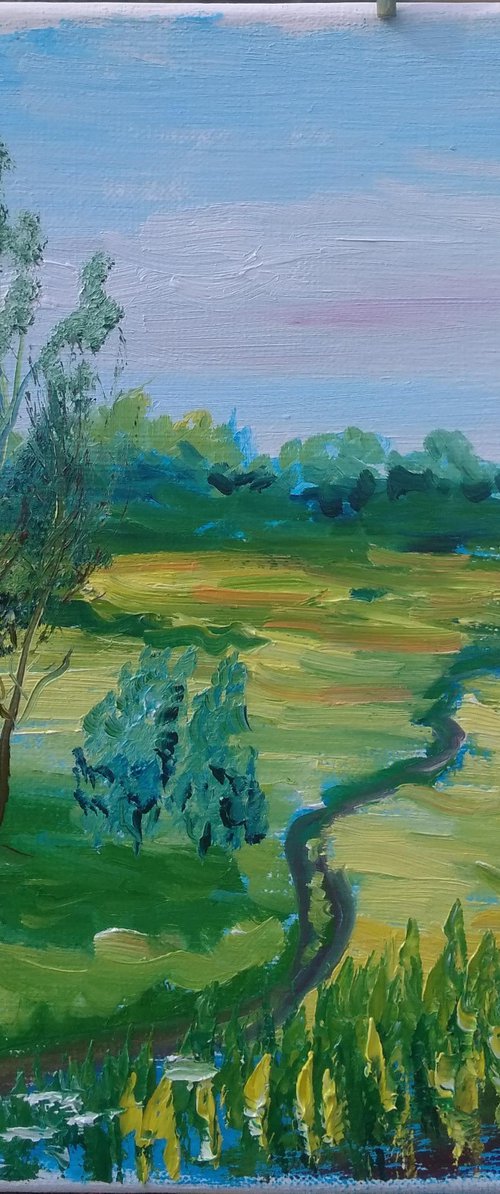 A trail through the meadow. Pleinair painting by Dmitry Fedorov