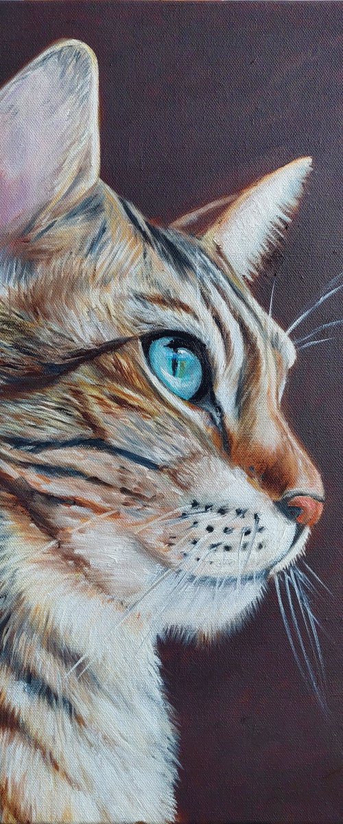 Cat with Blue Eyes by Ira Whittaker