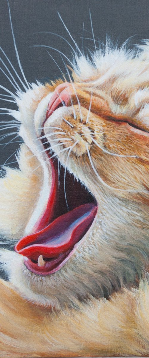 Yawning. by Norma Beatriz Zaro