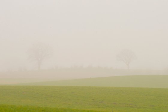 foggy landscape 2