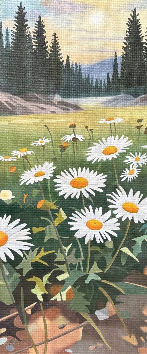 Morning Walk, With Daisies by Jill Ann Harper
