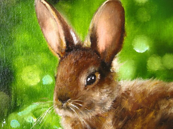 Rabbit Paintings Bunny