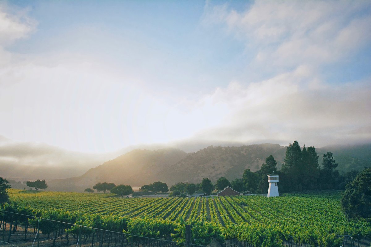 Photorealistic Landscape Photograph By Emily Kent, 30 X 20, Salinas, Original Artwork