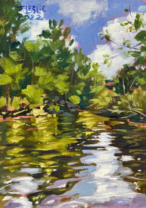 Parker Creek Reflections by Jimmy Leslie