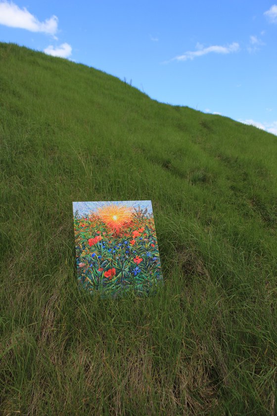 Poppies and Cornflowers in the field