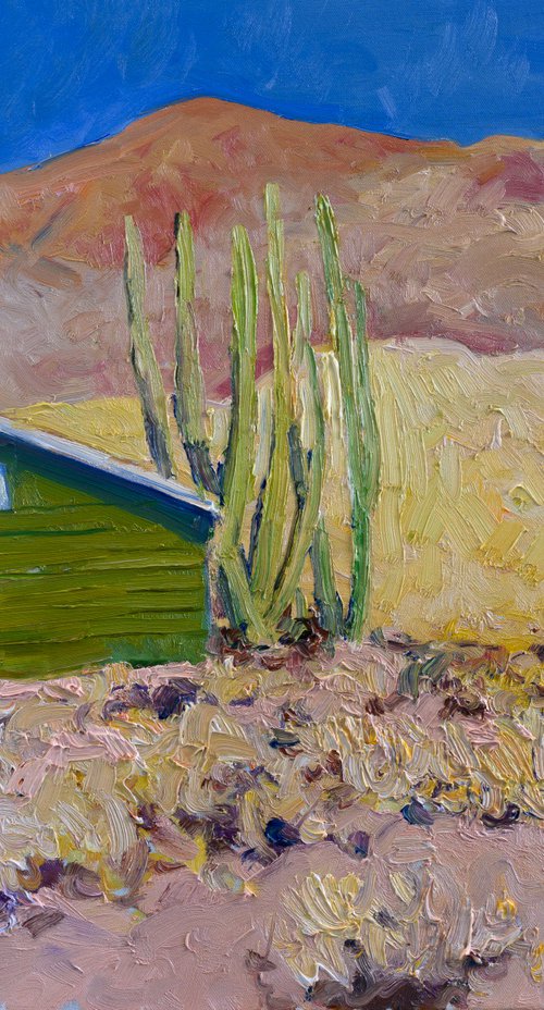 Green House in the Desert by Suren Nersisyan
