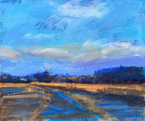Late Afternoon Sky by Chrissie Havers