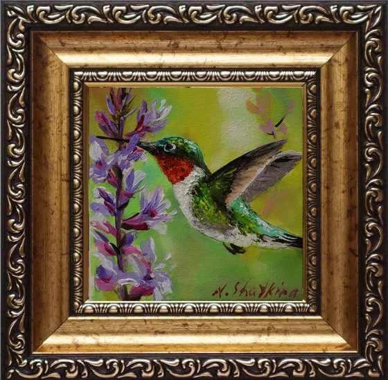 Hummingbird