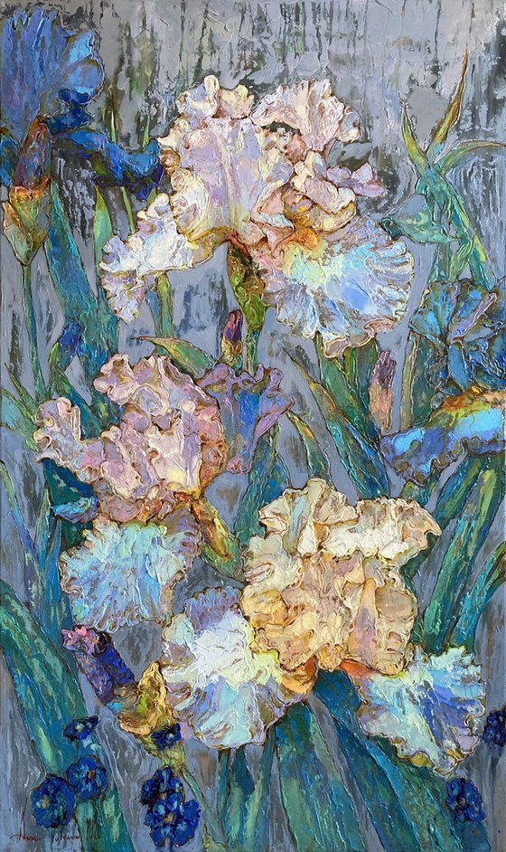 Irises on a gray background.