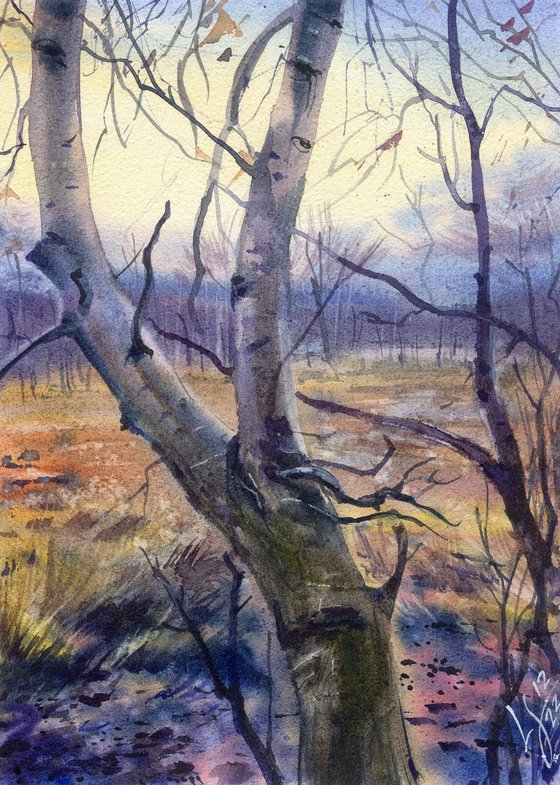 November Landscape with a Tree