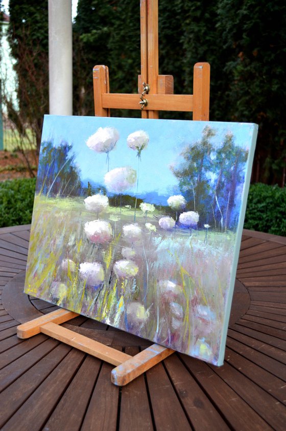 Beautiful wild flowers in the meadow