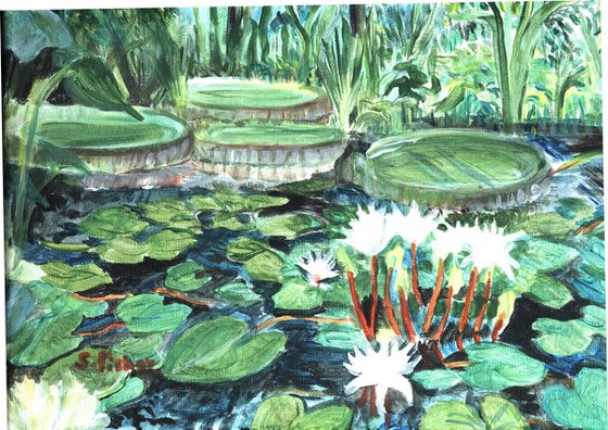 tropical water lilies on a pond
