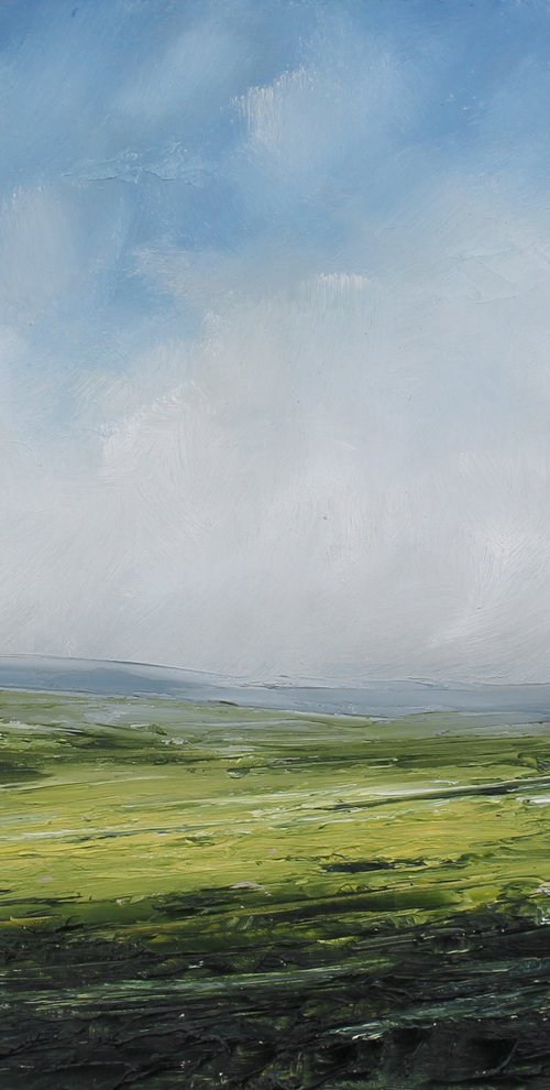 Returning Spring, Irish Landscape by John Halliday