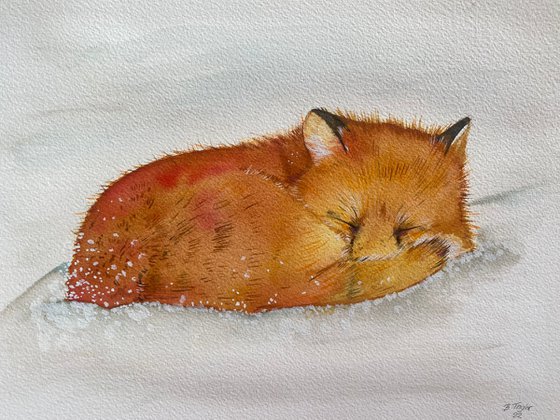 Sleepy fox in the snow. Watercolour painting