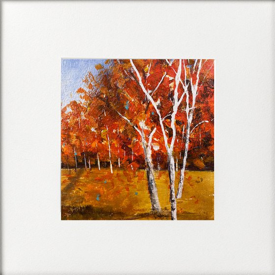 Seasons - Autumn Silver Birches in Park framed