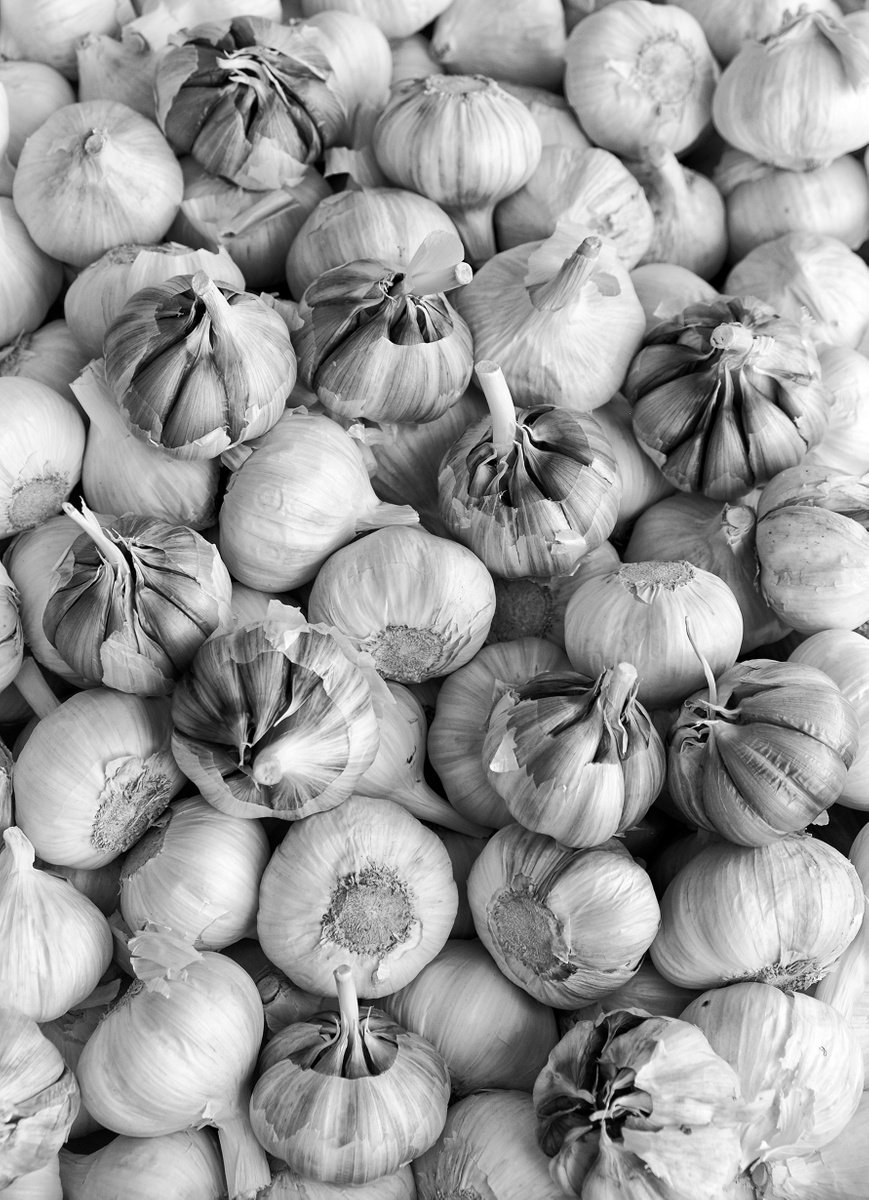 Garlic Bulbs by Stephen Hodgetts Photography