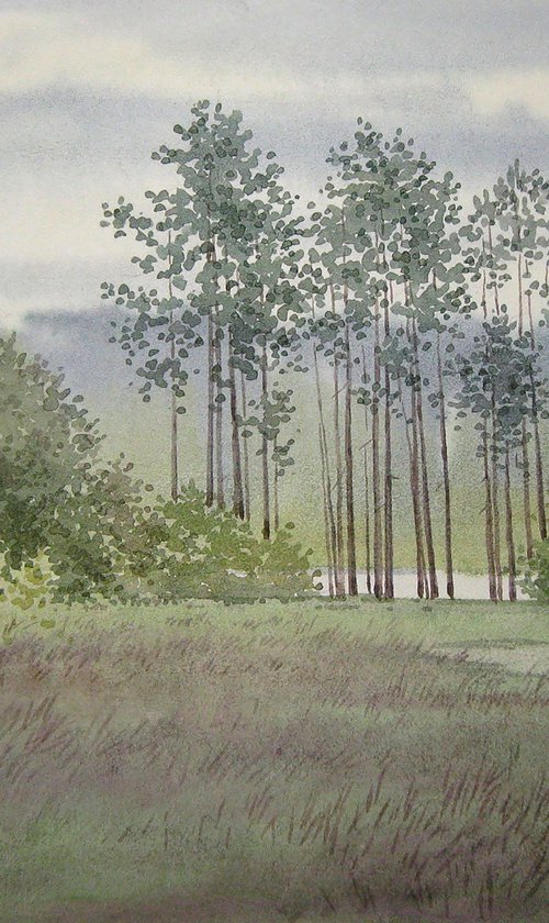 Forest halt by Valeriy Savenets-1
