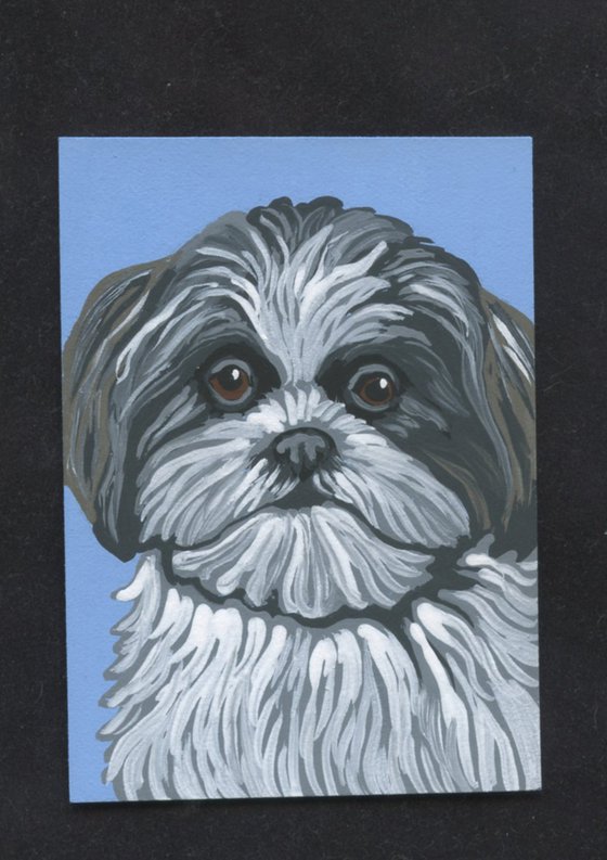 ACEO ATC Original Miniature Painting Shih Tzu Pet Dog Art-Carla Smale