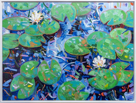 Tasman Lily Pond 37