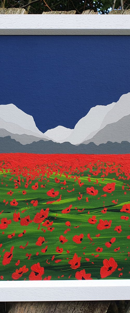 Poppies in Llanberis, The Lake District by Sam Martin