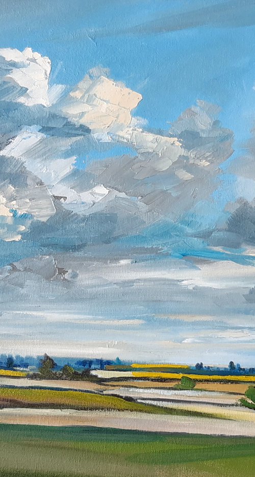 Cheshire Summer 2020 by Steve Keenan