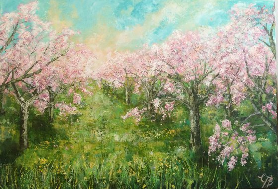 Cherry Blossom