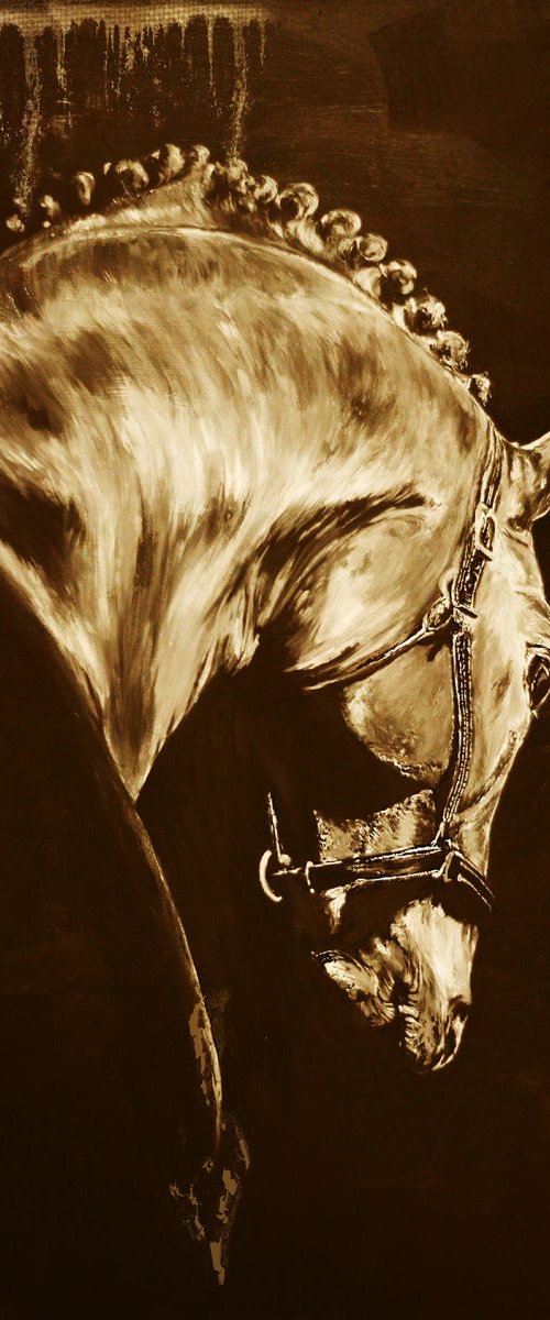 Horse head / Limited Edition Digital Print / Office Home Equine Sepia Modern by Anna Sidi-Yacoub