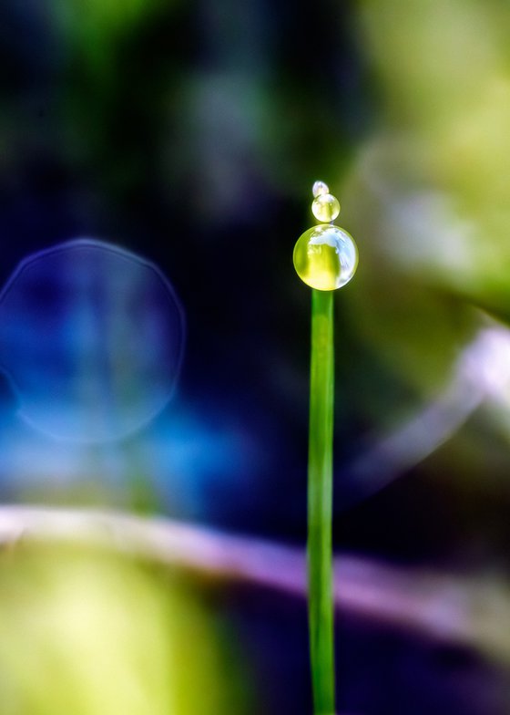 Berliner Fernsehturm - studio edition