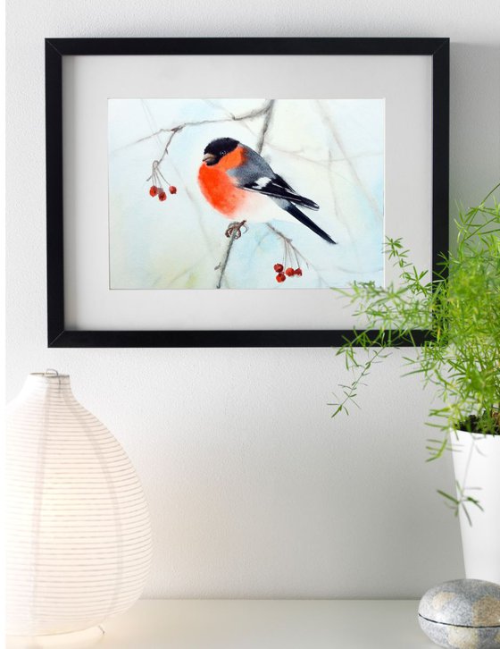 Bullfinch Bird on Branch  - watercolour, wild bird watercolour, birdwatcher, wild bird art, bird art