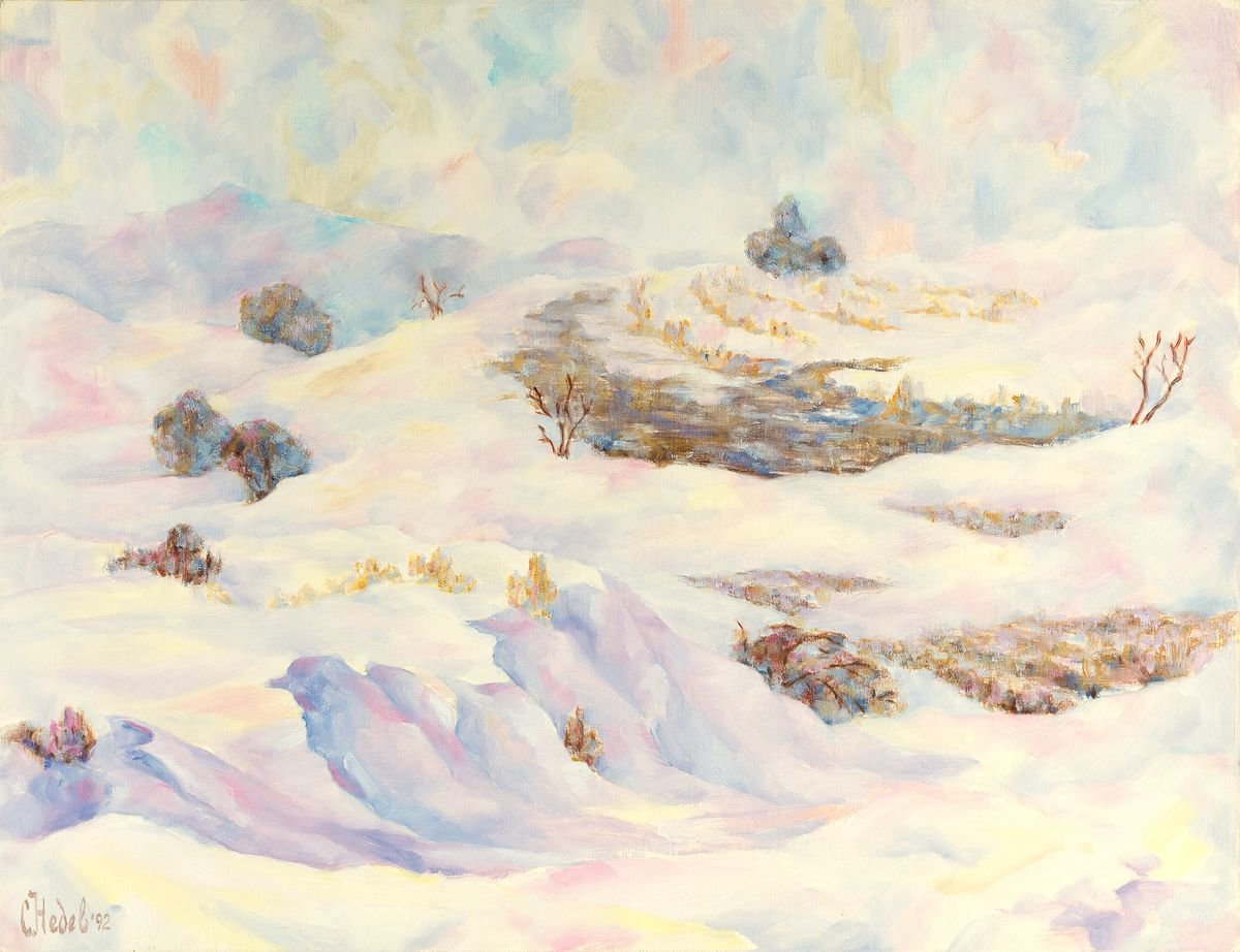 Winter Landscape by Slav Nedev