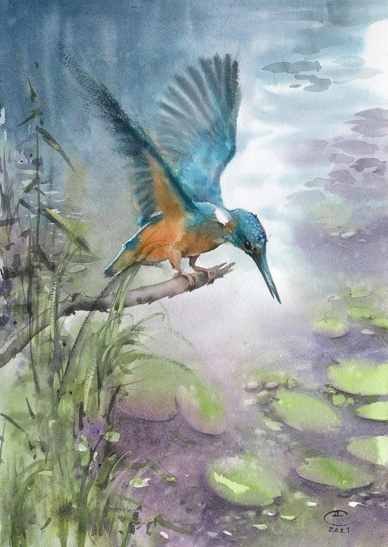 Kingfisher and nymphs.