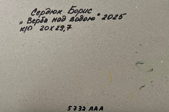 Trees above the River