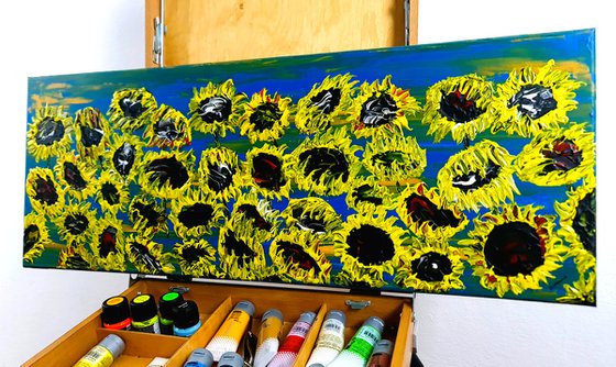 Blooming sunflowers 3