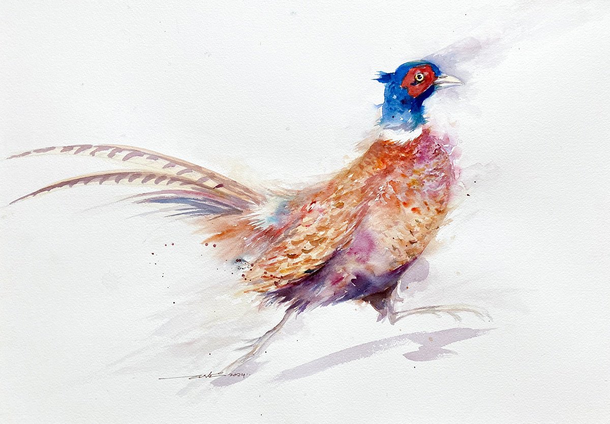 Impressionistic Watercolour , Speedy Sam_Pheasant By Arti Chauhan, 20 X 14, Artwork For Sale On Artfinder